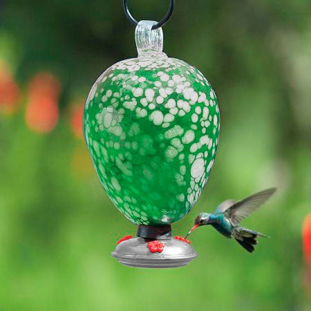 Hummingbird Feeder, Eighty Days