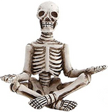 Yoga Skeleton