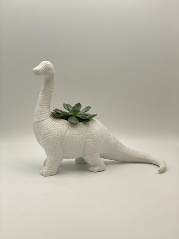 Diplodocculent