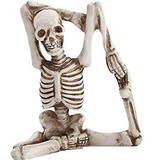 Yoga Skeleton