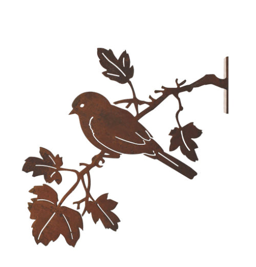 Bluebird on Maple Branch