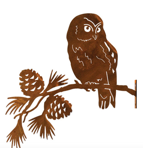 "Saw-Whet Owl on Pine Branch"