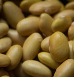 Mayocoba Heirloom Beans