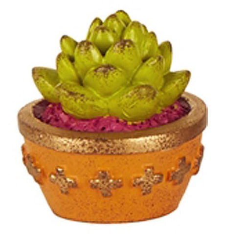 Mini cacti with an orange pot.