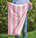 A pink and white striped dish towel is being held out by a man outside on grass with bushes in the background
