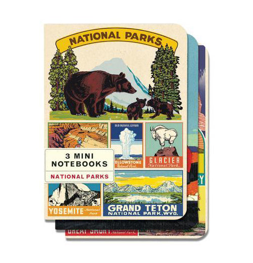 3 Mini Notebooks (S/3)