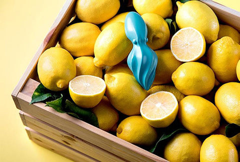 Octo Citrus Reamer