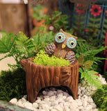 This mini stump planter has a picture of an owl in the fairy Garden.
