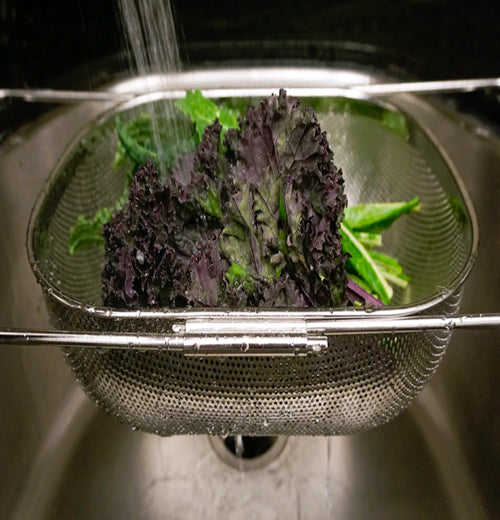 Pierced In-Sink Drainer