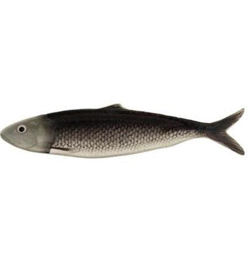 Painted Ceramic Sardine Plate