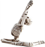 Yoga Skeleton