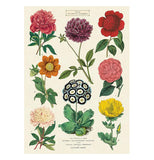 Botanical Poster Wrap