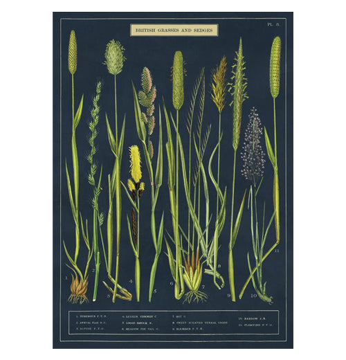 Botanical Poster Wrap