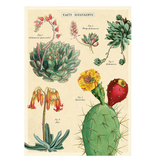 Botanical Poster Wrap