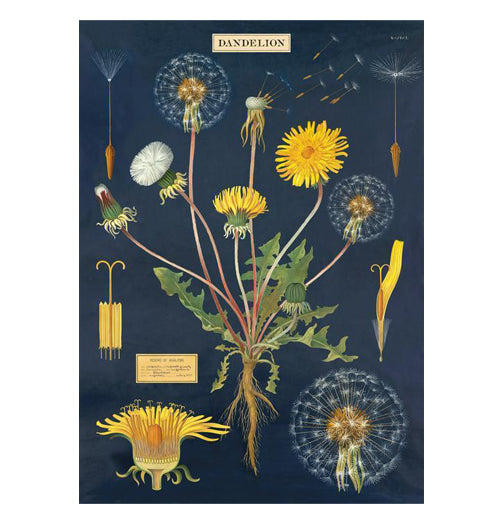 Botanical Poster Wrap