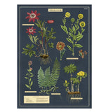 Botanical Poster Wrap