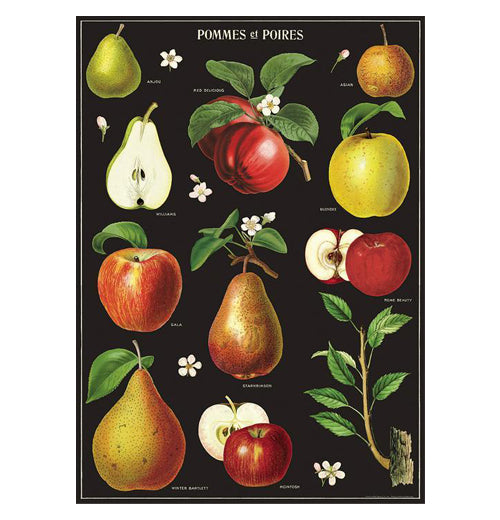 Botanical Poster Wrap