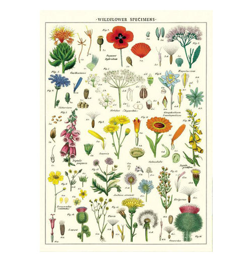 Botanical Poster Wrap