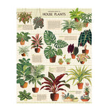 House Plants 1000-Piece Puzzle