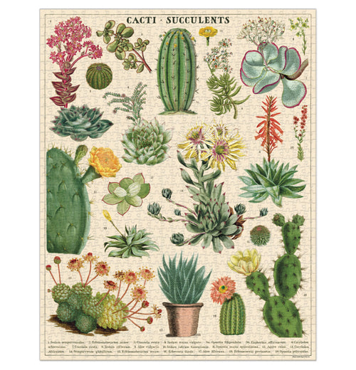 Succulents 1000-Piece Puzzle