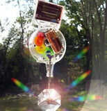 The Solar Powered Rainbow Maker hangs against a clear window showing a wooded area and the prism gives off rainbows.