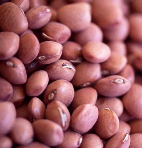 Santa Maria Pinquitos Beans