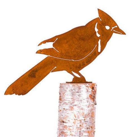 "Blue Jay Rusty Bird"