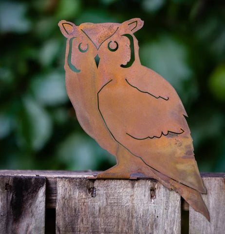 Screech Owl Rusty Bird