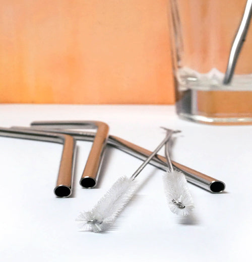 Drink Straw Cleaning Brush (Set of 2)