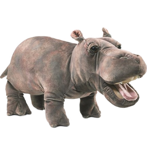 Baby Hippo Hippo