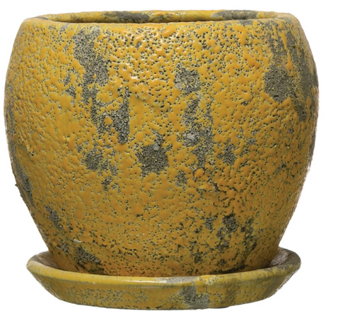 Terracotta Pot With Saucer
