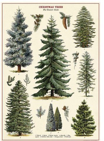 Christmas Tree Poster Wrap