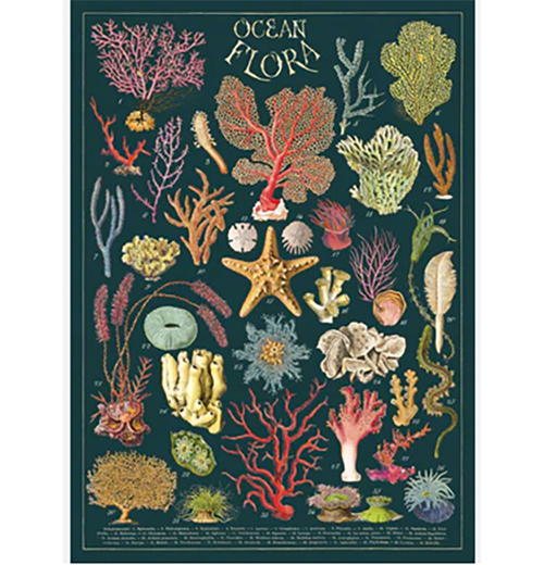 Botanical Poster Wrap