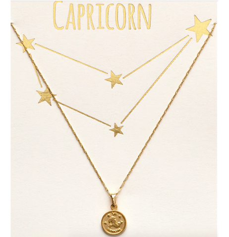 Tiny Zodiac Medallion Necklaces