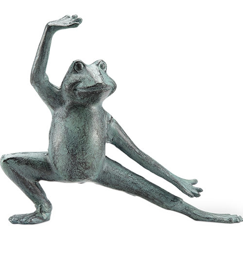 Stretching Tai Chi Frog