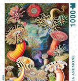 Sea Anemones Puzzle - 1000 Pieces