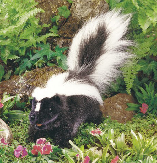 Puppet, Skunk