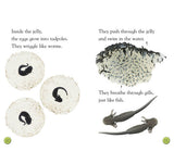 Tale of a Tadpole