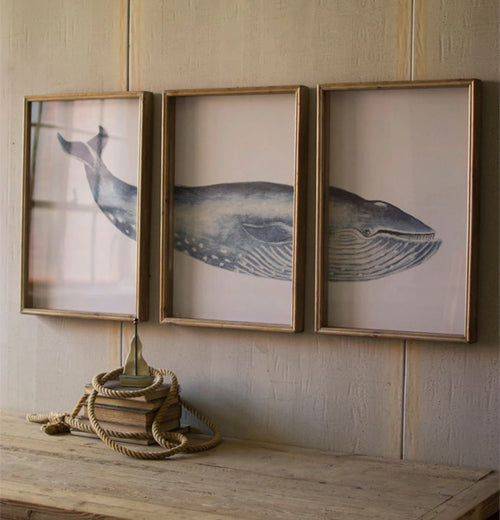 Triptych Framed Whale Print