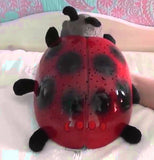 A child's hand is shown holding the ladybug toy on a bed.