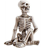 Yoga Skeleton