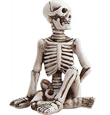 Yoga Skeleton