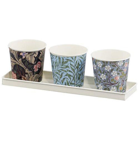 Plant Pots with Tray (Set of 3)