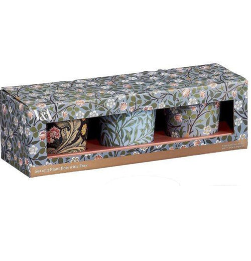 Plant Pots with Tray (Set of 3)