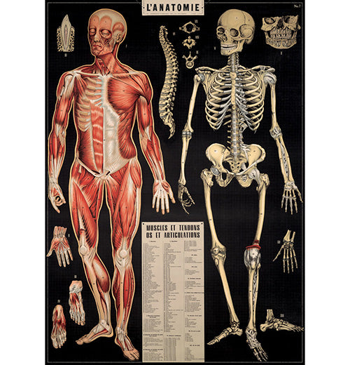 Science &amp; Education Poster Wrap