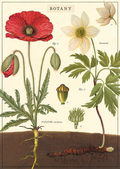 Botanical Poster Wrap
