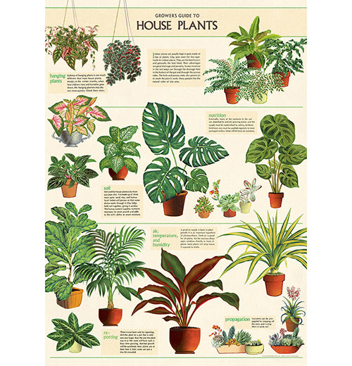 Botanical Poster Wrap