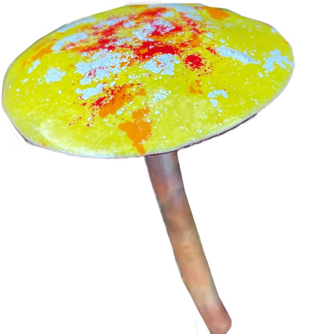 Copper Enamel Mushroom