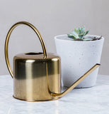 The golden colored steel watering can is shown lying next to a potted plant on a marble table.