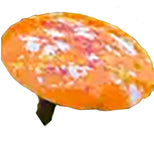 Copper Enamel Mushroom
